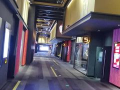 -万达影城(闵行颛桥万达广场杜比影院店)