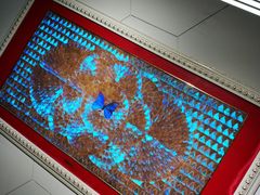 -上海昆虫博物馆