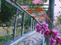 -南汇桃花村