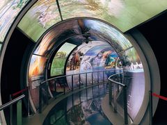 -房山世界地质公园博物馆