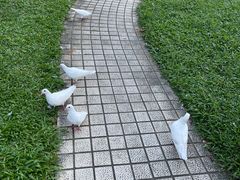 -顺峰山公园