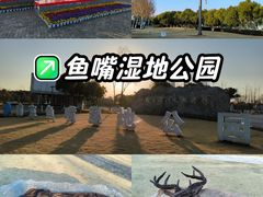 -鱼嘴湿地公园