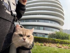 -PETKIT 小佩宠物·德文赛凯猫舍