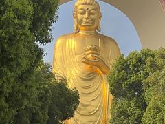 -庐山风景名胜区-东林大佛