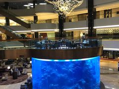 -OPEN開全日自助餐厅·牛肉火锅·海鲜(佛山希尔顿酒店)