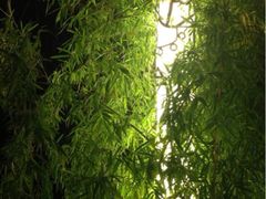 iphone_upload_pic-灞柳驿酒店(香湖湾地铁站店)