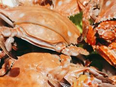 -星伦多自助料理(永旺店)