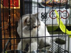 -四季暖堂·融合江浙菜(N1955创业园店)