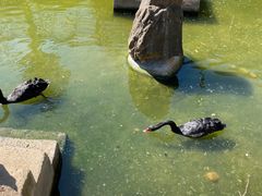 -南京老山国家森林公园