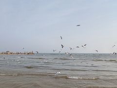 -老虎石海上公园