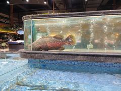 -旺豪阳光超市(友谊阳光城店)