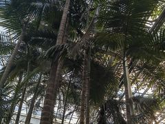 -龙达温泉生态城