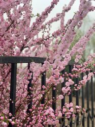 -大望京儿童游乐场