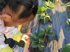 -松山湖梦幻百花洲