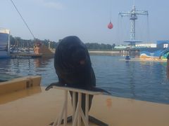 -秦皇岛乐岛海洋王国