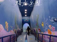 -水立方嬉水乐园
