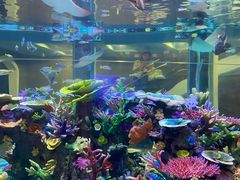 -成都浩海立方海洋公园