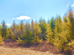 -塞罕坝国家级自然保护区