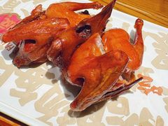 -大鸽饭(动物园店)