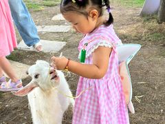 -HERRE·FARM 赫尔露营农场·团建聚会包场