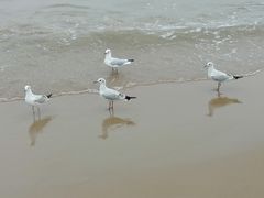 -老虎石海上公园