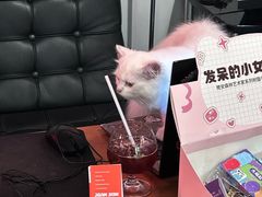 -独音唱片 Indie Music