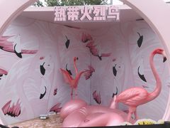 -热带风暴水上乐园