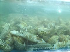 -盒马鲜生(宝地店)