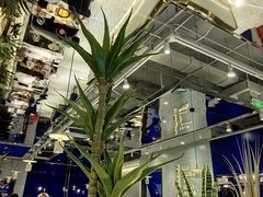 -兰湘子·湘菜小炒(崂山丽达店)