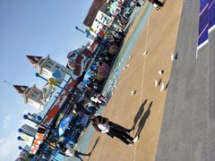 -烟台海昌鲸鲨海洋公园