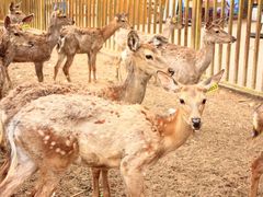 -赛汗塔拉风情园