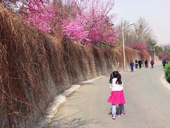 -北京鹫峰国家森林公园