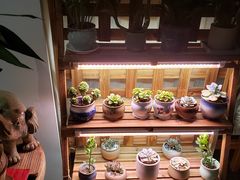 -十二舍·湯物素煮(江泰潤政店)