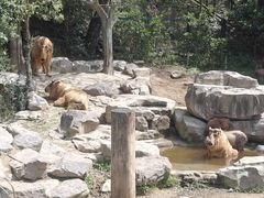 -宁波野生动物园