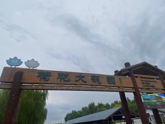 -白洋淀景区