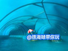 -珠海梦幻水城
