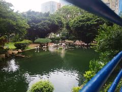 -九龙公园