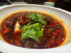 -上上瓷·艺境川菜(IFS旗舰店)