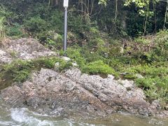 -雅鲁激流探险漂流