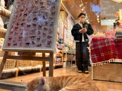 -猫的天空之城概念书店(大学路店)
