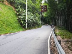 -广州市帽峰山景区