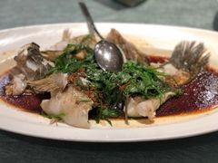 清蒸笋壳鱼-博多新记·粤菜(复兴店)
