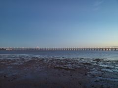 -宝安西湾红树林湿地公园