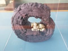 -中国美术学院象山校区-民艺博物馆