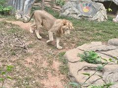 -海南热带野生动植物园