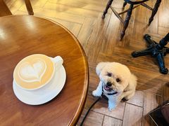 -Café Monson