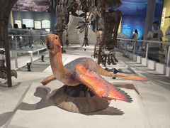 -国家自然博物馆