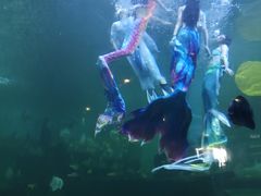 -石林冰雪海洋世界