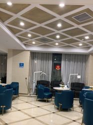 -碧莲盛·不剃发植发