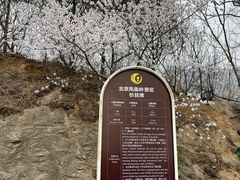 -北京凤凰岭